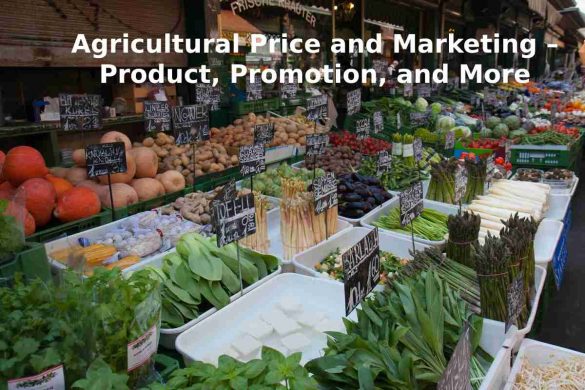 Agricultural Price and Marketing – Product, Promotion, and More
