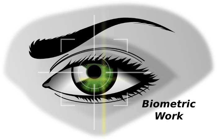 Biometric Work