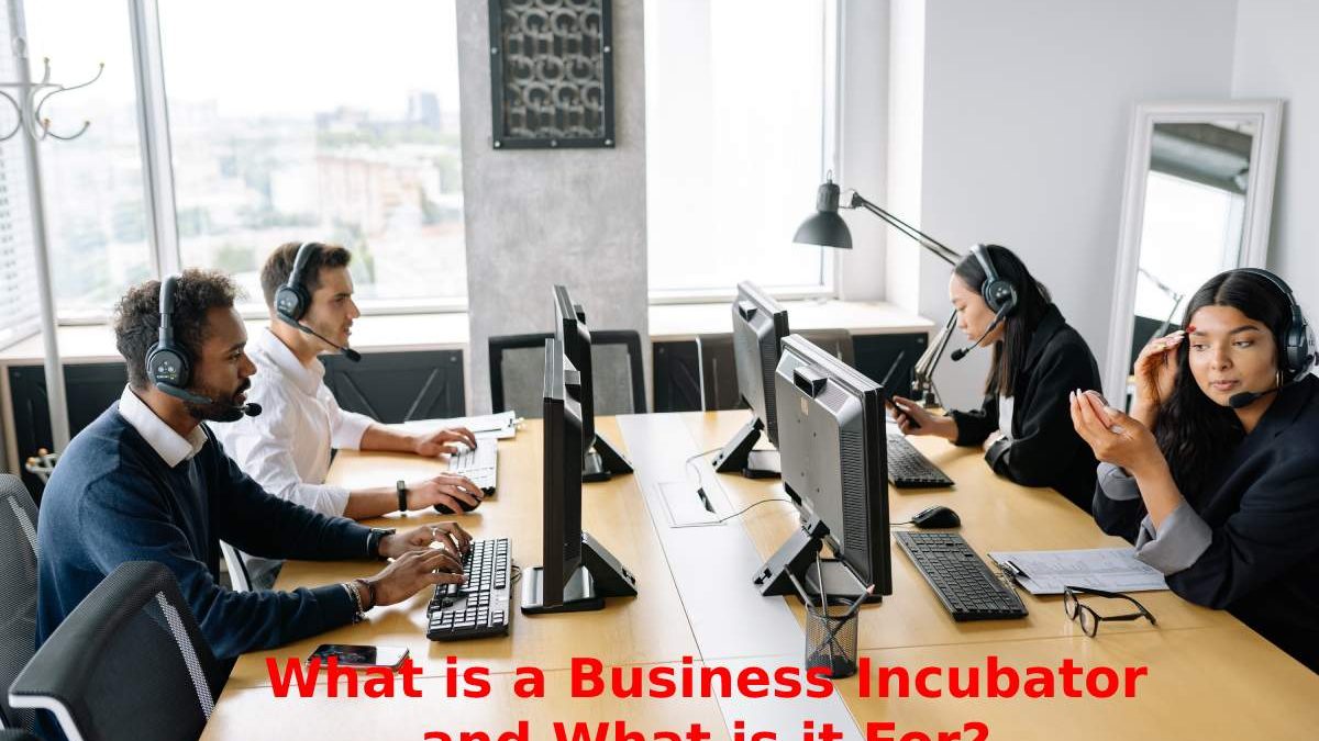 What is a Business Incubator and What is it For?