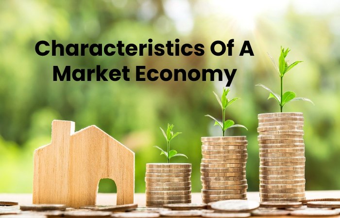 Characteristics Of A Market Economy
