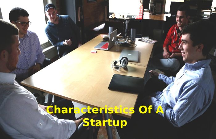 Characteristics Of A Startup