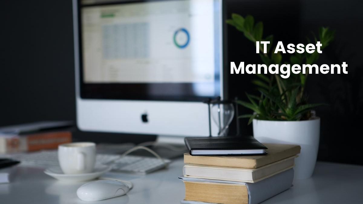 What is IT Asset Management? – Importance, Types, and More