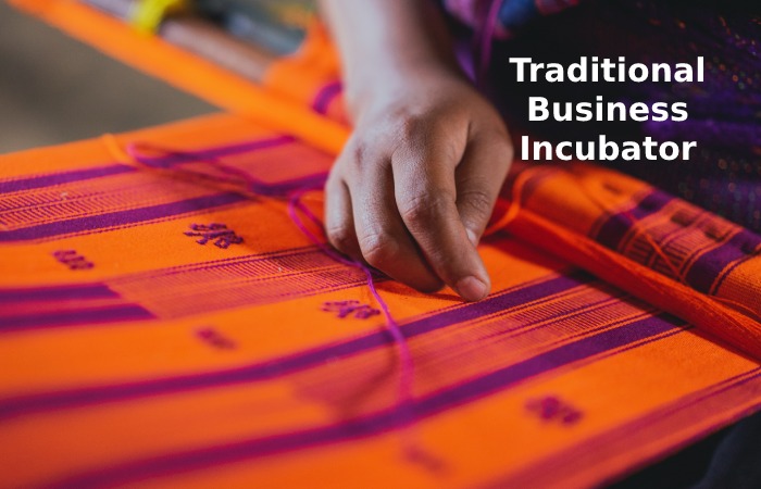 Traditional Business Incubator