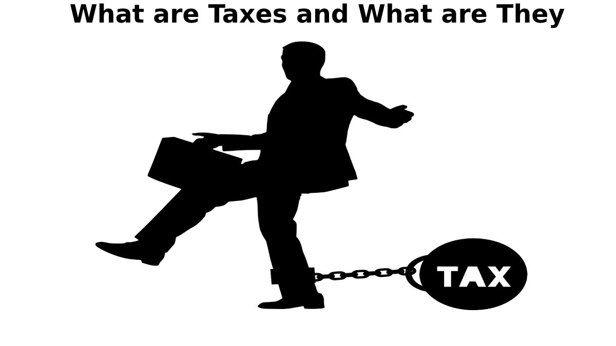 What are Taxes and What are They