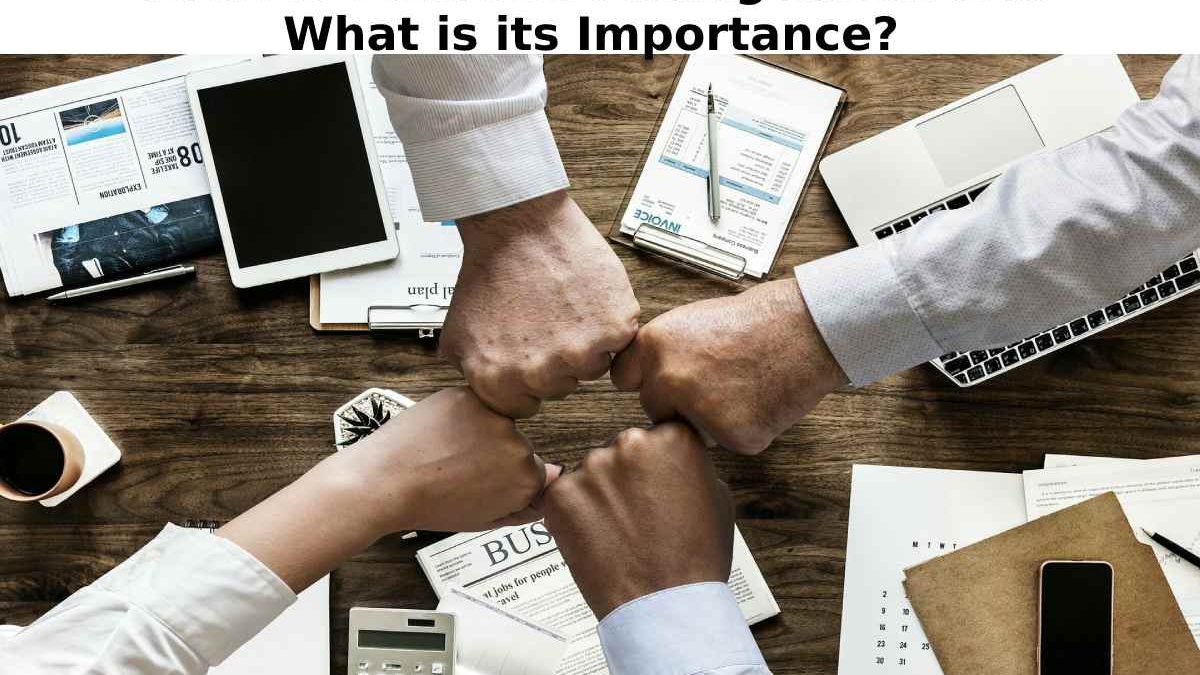What is Business Management and What is its Importance?
