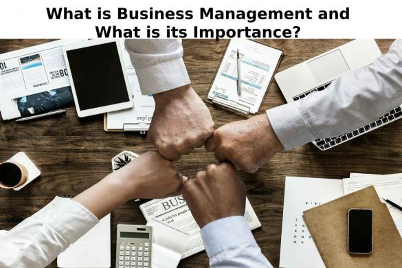 What is Business Management and What is its Importance_