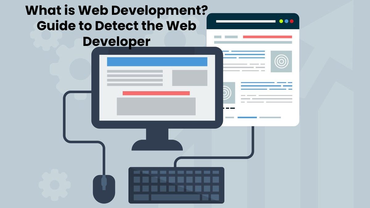 What is Web Development? Guide to Detect the Web Developer