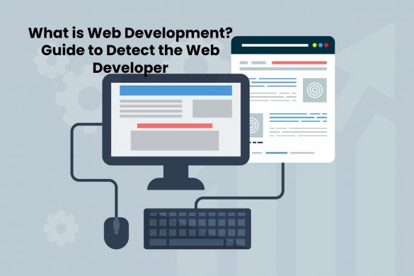 What is Web Development_ Guide to Detect the Web Developer