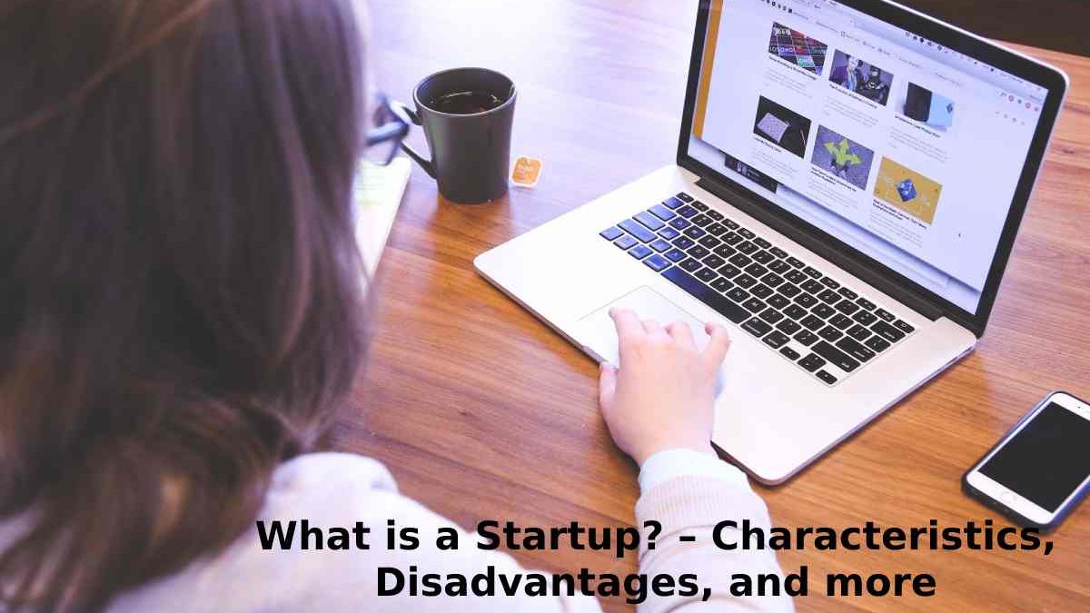 What is a Startup? – Characteristics, Disadvantages, and more