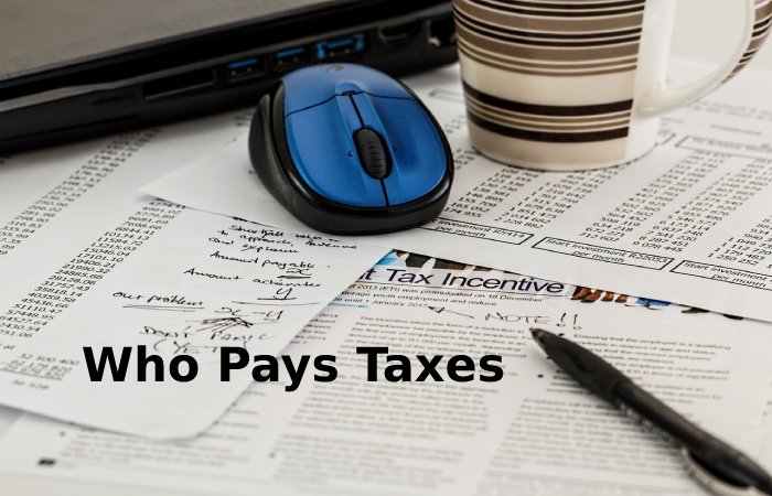 Who Pays Taxes