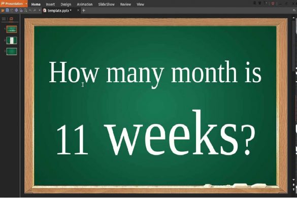 11 Week from Today