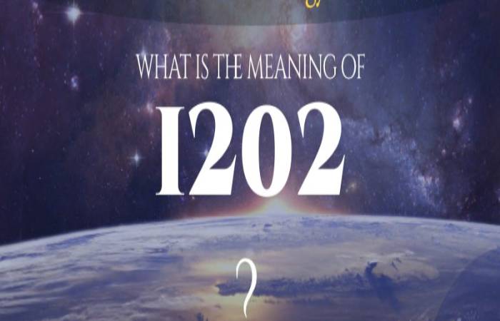 What is 1202