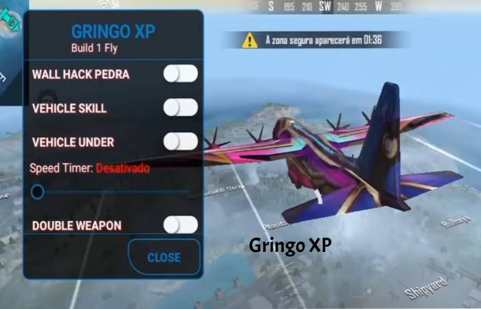 What is Gringo XP