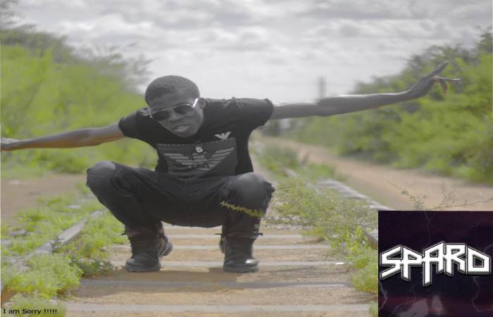 Career - Sparo Songs