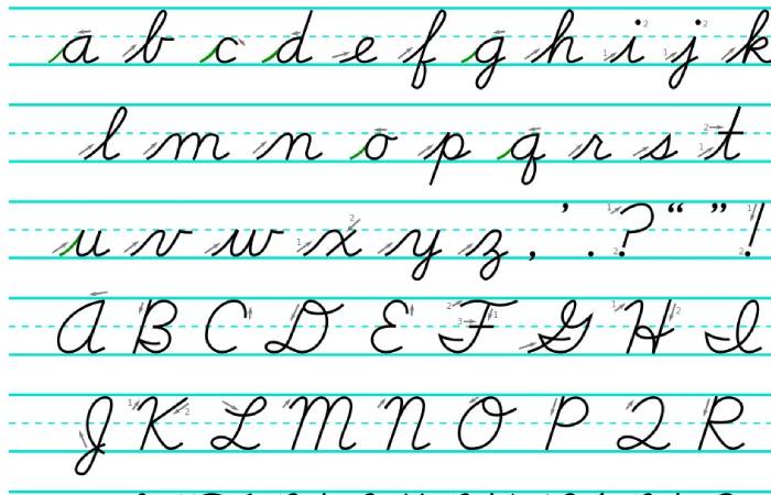 Cursive Handwriting and the Brain