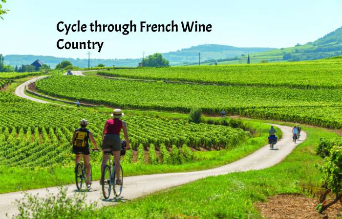 Cycle through French Wine Country