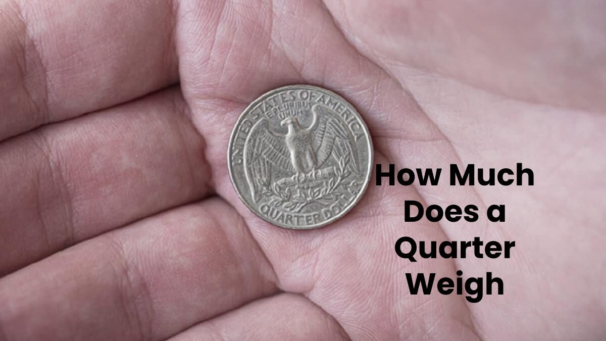 How Much Does a Quarter Weigh