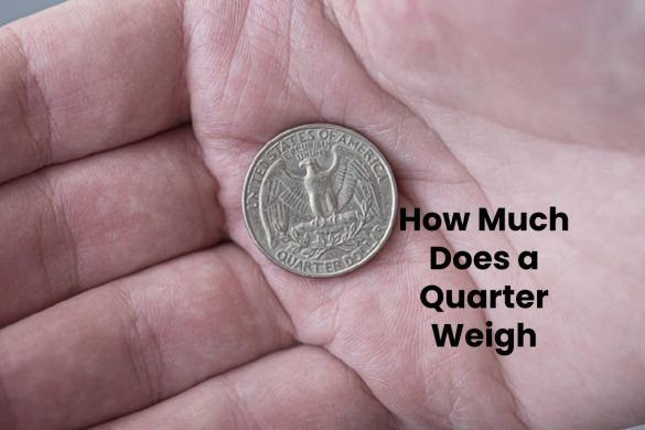 How Much Does a Quarter Weigh