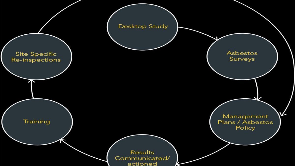 Simplifying Asbestos Report Management: A Comprehensive Guide to Software Solutions