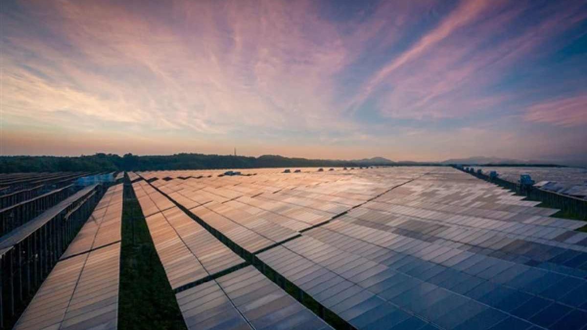 Embrace the Sun: Solar Energy 101 – How Many Panels Do You Really Need?