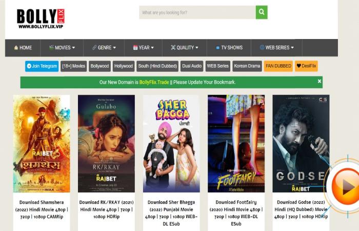How to Stream Movies on Bollyflix_ (1)