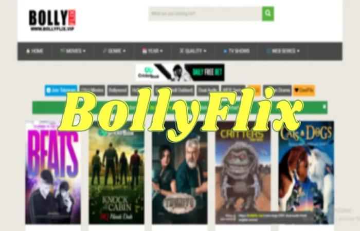 How to Stream Movies on Bollyflix_