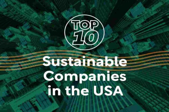 Top 5 Sustainable Company Industries To Break Into