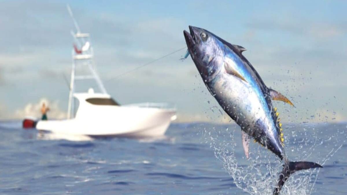 Behind the Tuna: What Makes These Sounds So Meme-Worthy?
