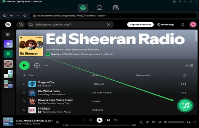 Add Spotify Music to ViWizard